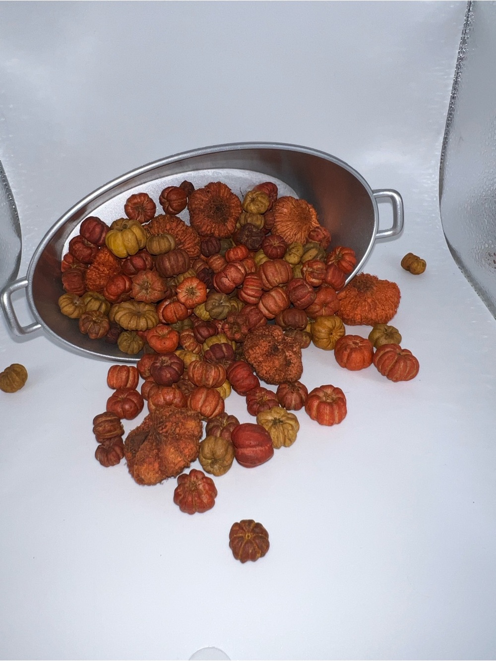 Miniature pumpkins and metal bucket
